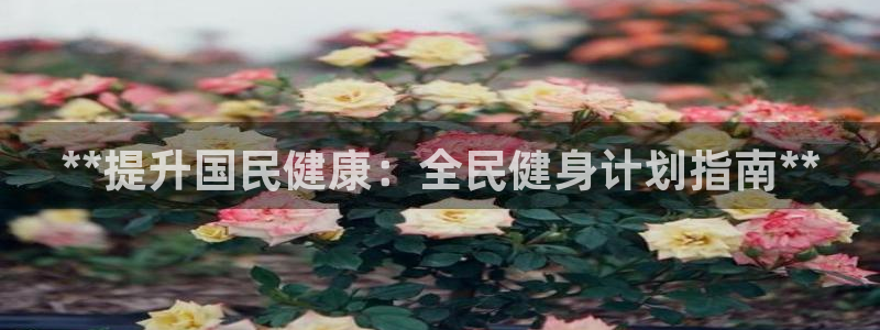尊龙凯时企业文化：**提升国民健康：全民健身计划指南**