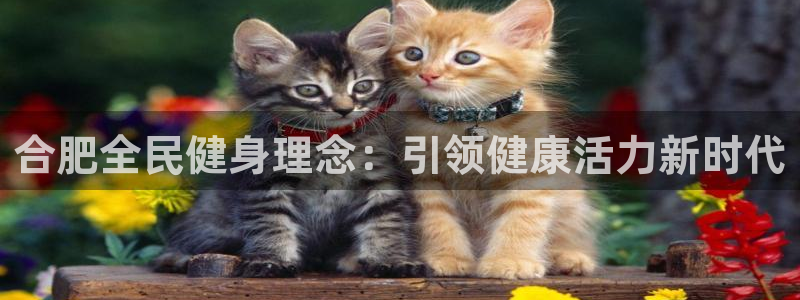 尊龙一生也走不出自己的童年：合肥全民健身理念：引领健康活