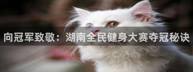 尊龙凯时ag旗舰：向冠军致敬：湖南全民健身大赛夺冠秘诀