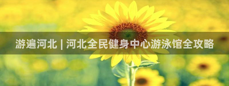 凯时app官方首页：游遍河北 | 河北全民健身中心游泳馆