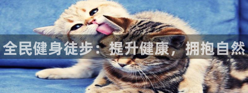 凯时国际娱乐官方网址：全民健身徒步：提升健康，拥抱自然