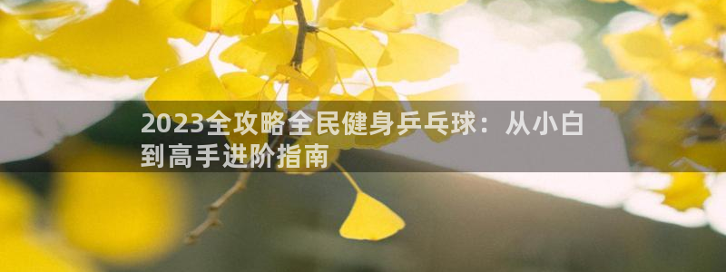 尊龙 贴吧：2023全攻略全民健身乒乓球：从小白
到高手