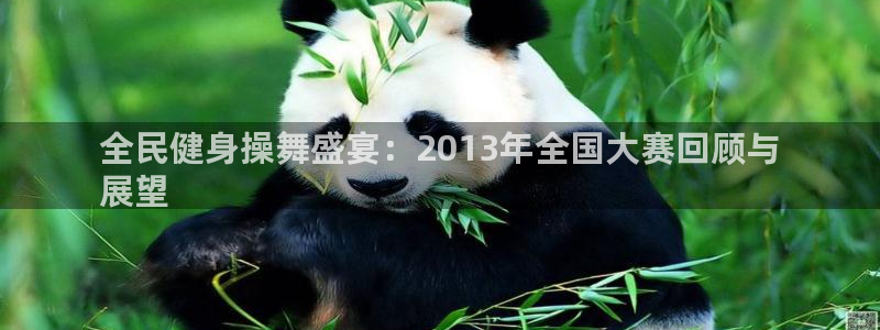 z6com尊龙凯时：全民健身操舞盛宴：2013年全国大赛回顾