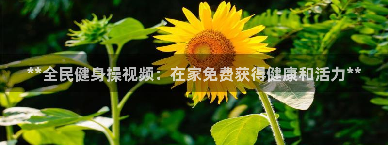尊龙d88官网选RA来就送38：**全民健身操视频：在家