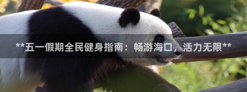 凯时国际最新：**五一假期全民健身指南：畅游海口，活力无