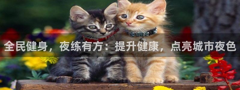 尊龙凯时论坛：全民健身，夜练有方：提升健康，点亮城市夜色