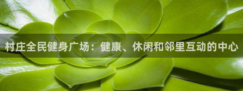尊龙凯时官网网址：村庄全民健身广场：健康、休闲和邻里互动