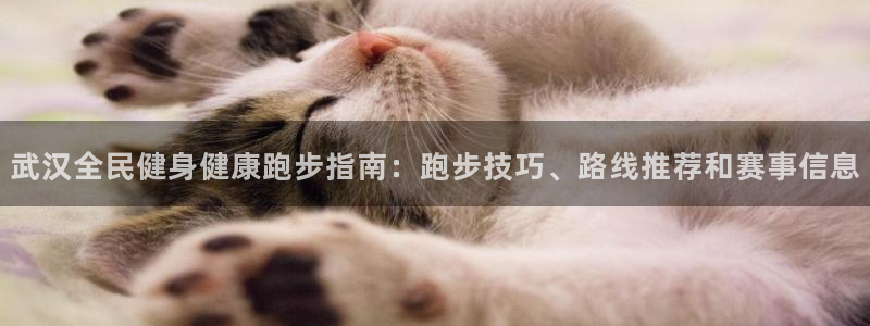 尊龙凯时人生就是搏客户：武汉全民健身健康跑步指南：跑步技