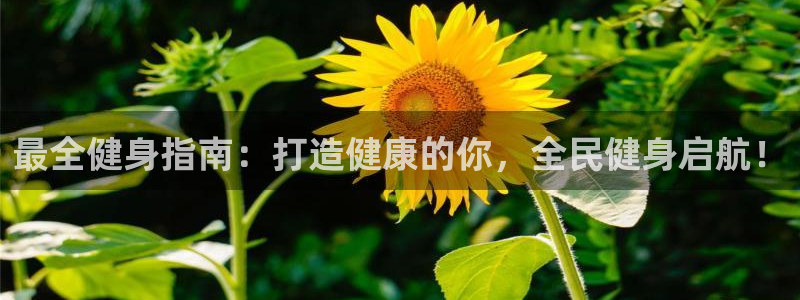 凯时游戏官方网站：最全健身指南：打造健康的你，全民健身启航！