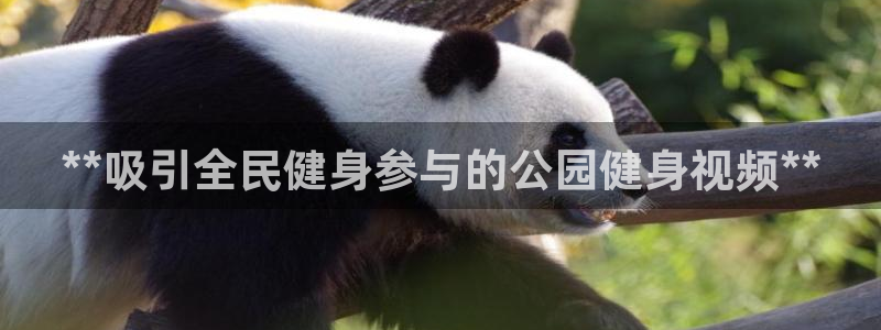 尊龙t600：**吸引全民健身参与的公园健身视频**