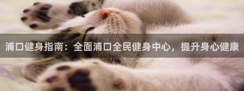 尊龙 10：浦口健身指南：全面浦口全民健身中心，提升身心