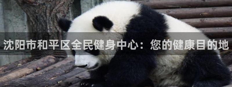 尊龙凯时百万奖池：沈阳市和平区全民健身中心：您的健康目的