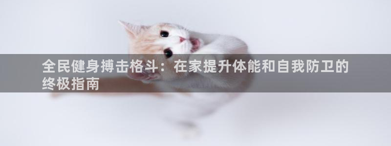 尊龙凯时返现：全民健身搏击格斗：在家提升体能和自我防卫的