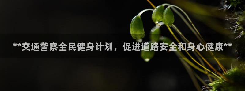 尊龙凯时不朽情缘：**交通警察全民健身计划，促进道路安全和身