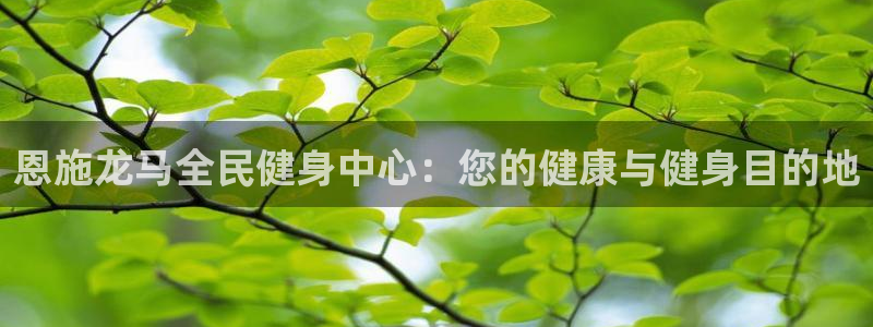 尊龙凯时人生就是搏·(中国)官网：恩施龙马全民健身中心：