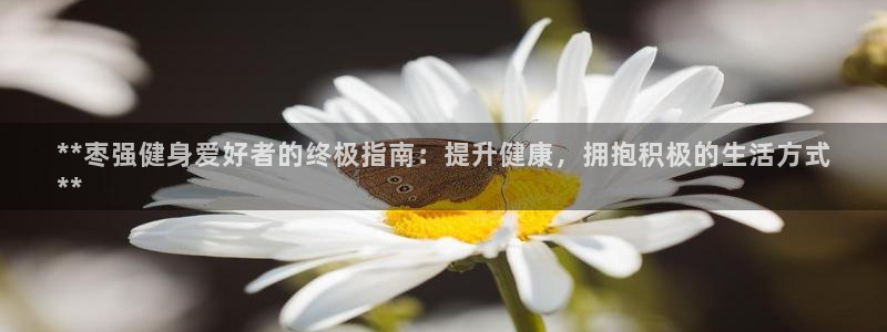 尊龙凯时贴吧：**枣强健身爱好者的终极指南：提升健康，拥抱积