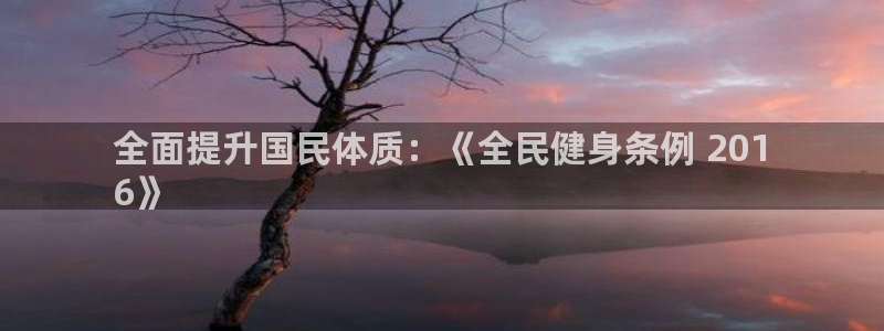 尊龙凯时论坛：全面提升国民体质：《全民健身条例 201
