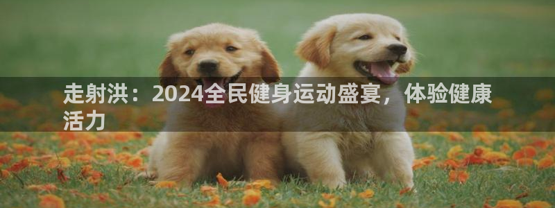 尊龙人生就是博首页入口：走射洪：2024全民健身运动盛宴