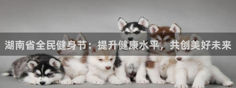 尊龙凯时电竞注册：湖南省全民健身节：提升健康水平，共创美