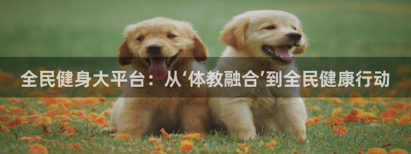 尊龙手机版