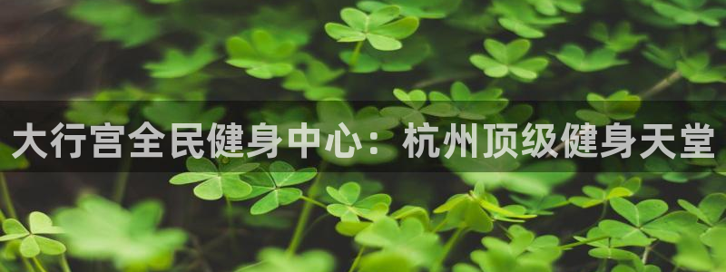 尊龙官网手：大行宫全民健身中心：杭州顶级健身天堂