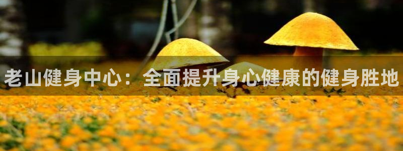 尊龙旗舰厅app：老山健身中心：全面提升身心健康的健身胜