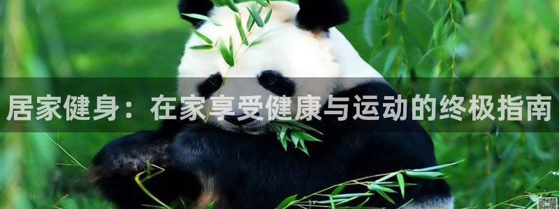 尊龙d88现金关注ag发财网：居家健身：在家享受健康与运